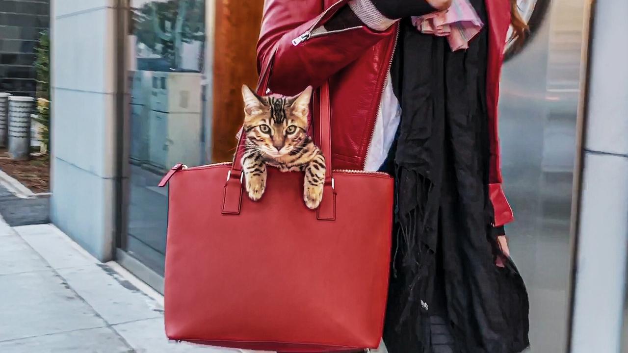 Cat People İzle