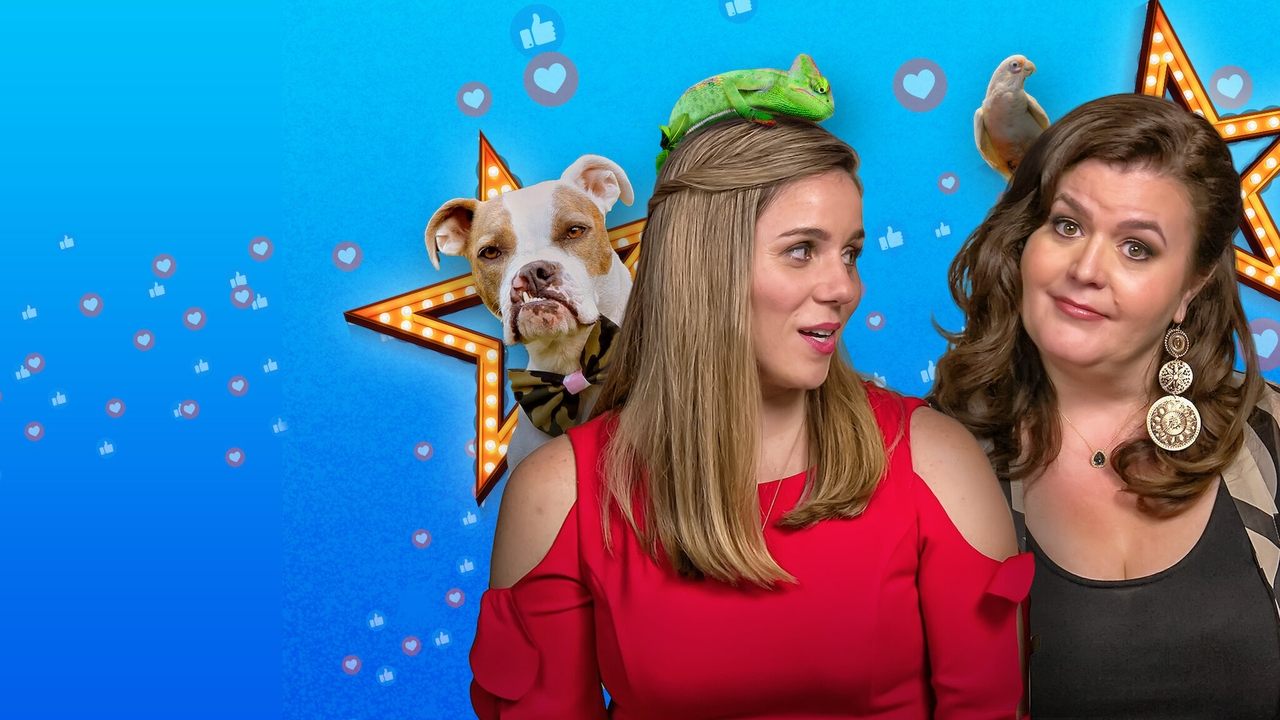 Pet Stars İzle